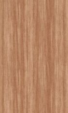 Обои Woods WOOD85982525