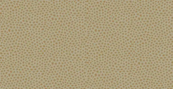 Обои Cole & Son 264850