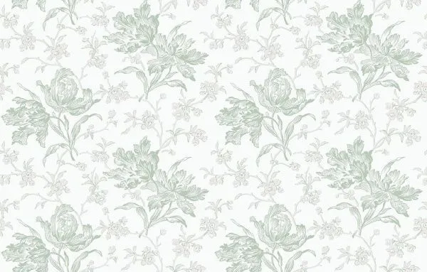 Обои Milassa  267115