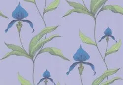 Обои Cole & Son 609835