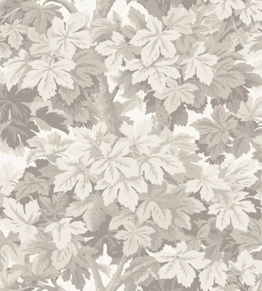 Обои Cole & Son 264694