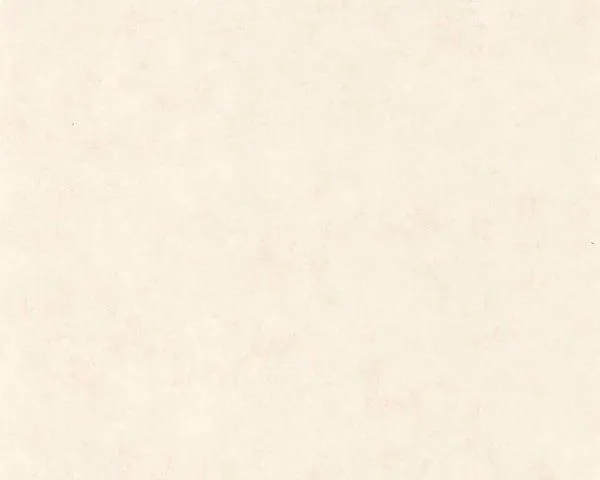 Обои Caselio Beton 101480010