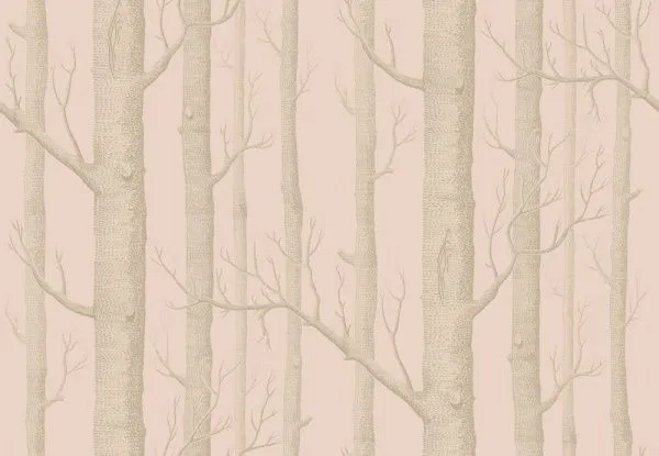 Обои Cole & Son 264796