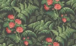 Обои Cole & Son 609681