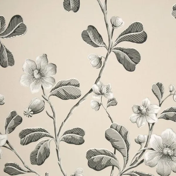 Обои Little Greene 244514