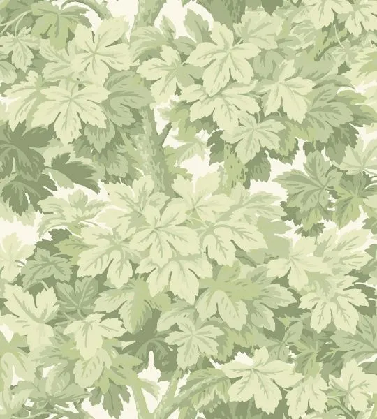 Обои Cole & Son 264693