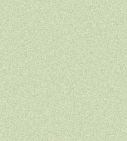 Обои Cole & Son 265006