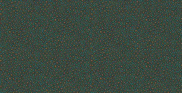 Обои Cole & Son 264854