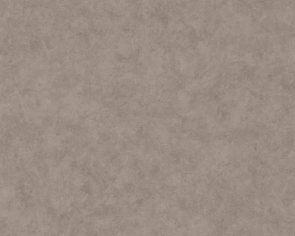 Обои Caselio Beton 101481899