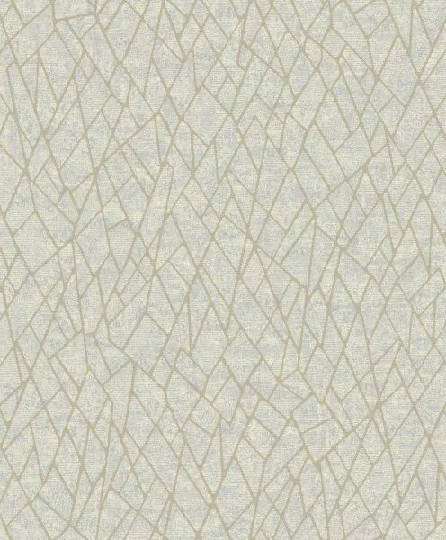 Обои Architector Evolve EV01121