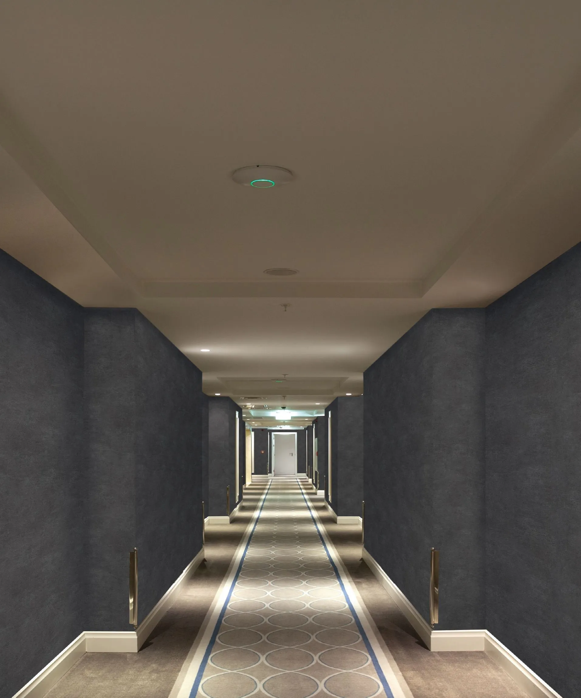 Коллекция Solid Contract - Newton