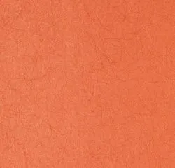 Обои Bernardo Bartalucci 610147