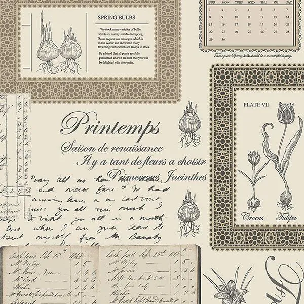 Kitchen Story III  FK34419