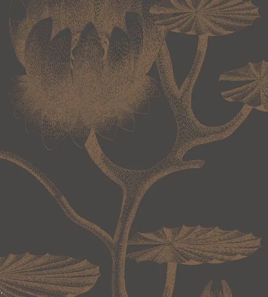 Обои Cole & Son 264488