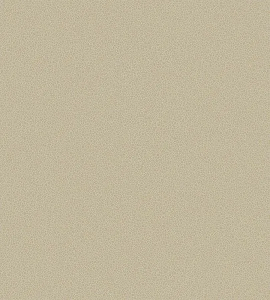 Обои Cole & Son 264972