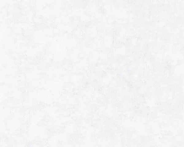 Обои Caselio Beton 101489000