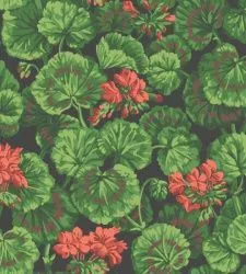 Обои Cole & Son 609731