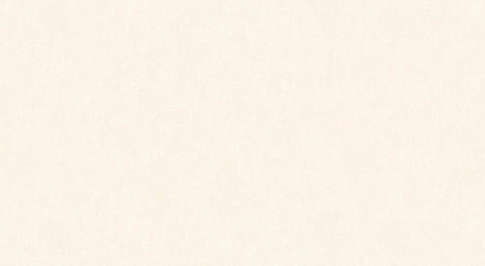 ARTS13 101/2