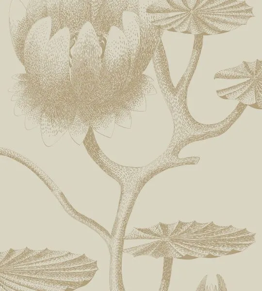 Обои Cole & Son 264486