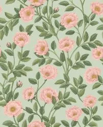 Обои Cole & Son 609800