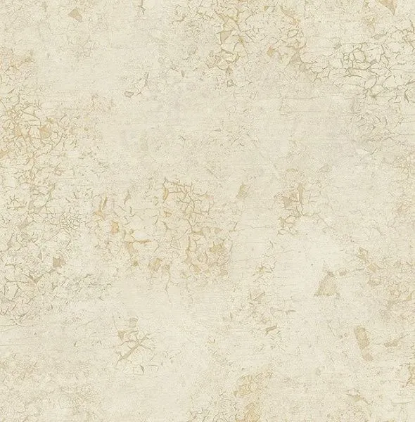 DS61906