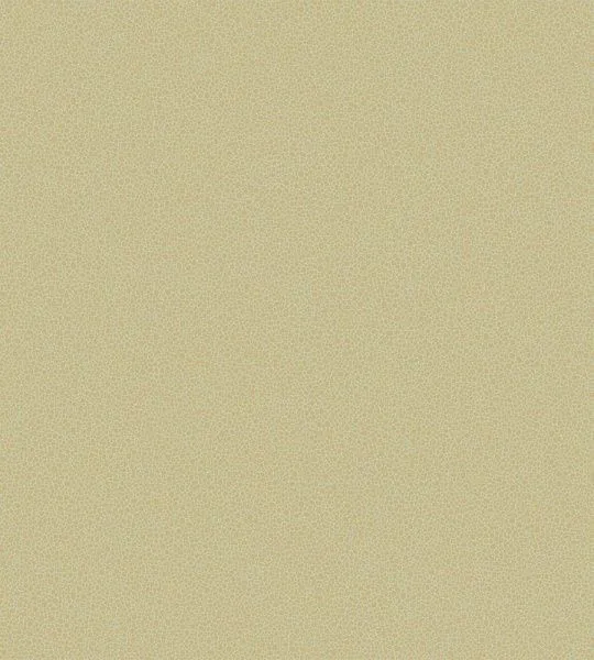 Обои Cole & Son 264971