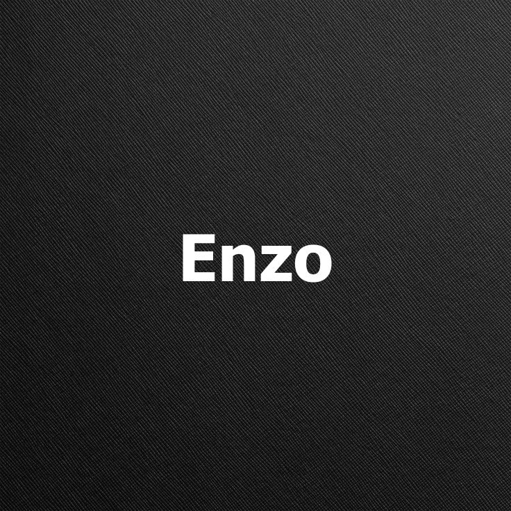 Коллекция Enzo
