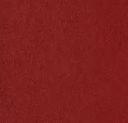 Обои Bernardo Bartalucci 610105