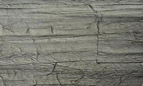 Обои Arte 8169