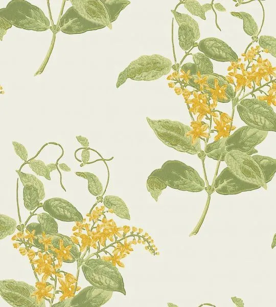 Обои Cole & Son 264351
