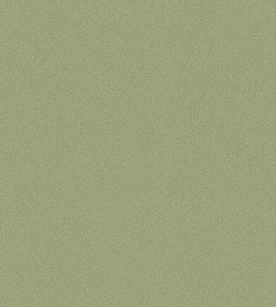 Обои Cole & Son 265004