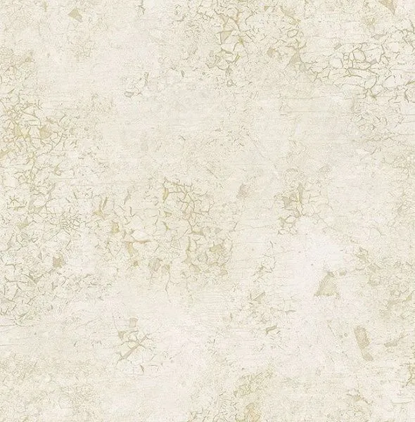 DS61905