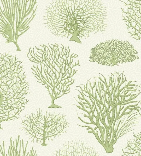 Обои Cole & Son 264938