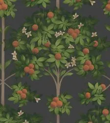 Обои Cole & Son 609726