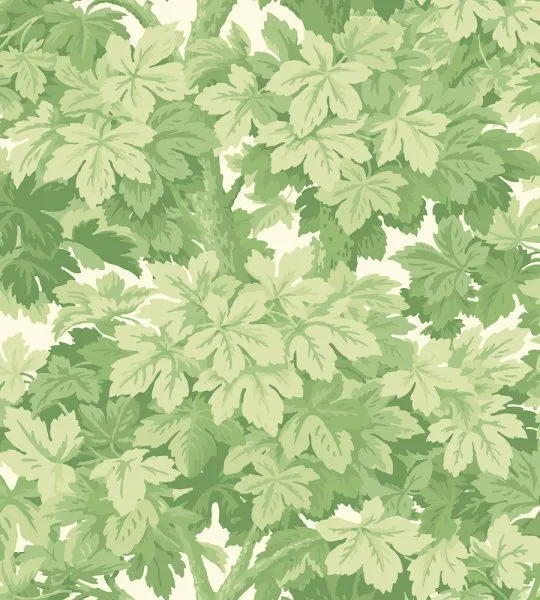 Обои Cole & Son 264692