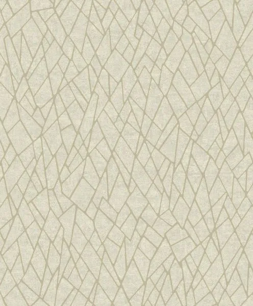 Обои Architector Evolve EV01120