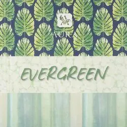 Коллекция Evergreen