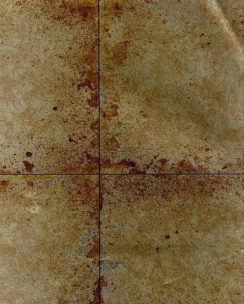 Обои Zoffany 70930