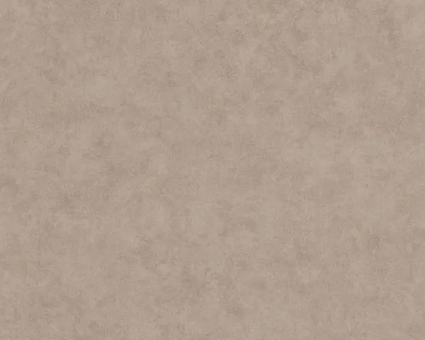 Обои Caselio Beton 101481462