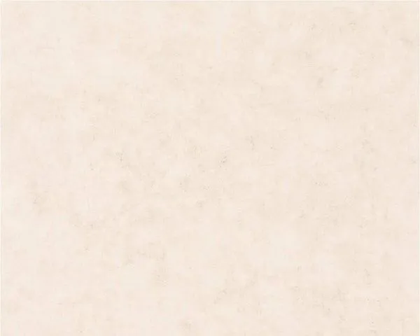 Обои Caselio Beton 101481002