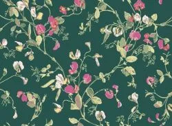 Обои Cole & Son 609685