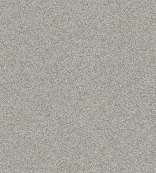 Обои Cole & Son 264996