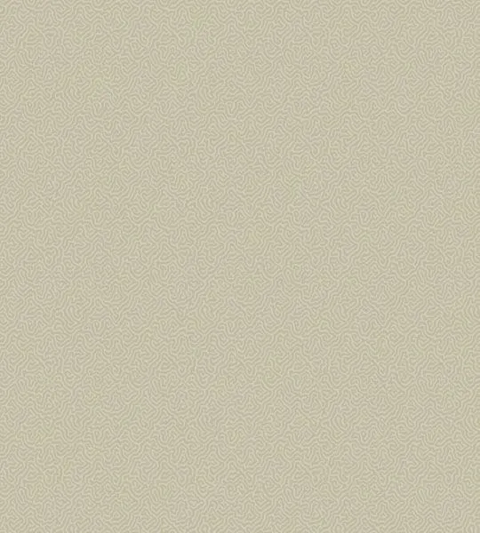 Обои Cole & Son 265050