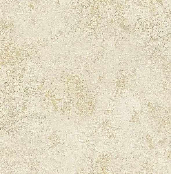 DS61907