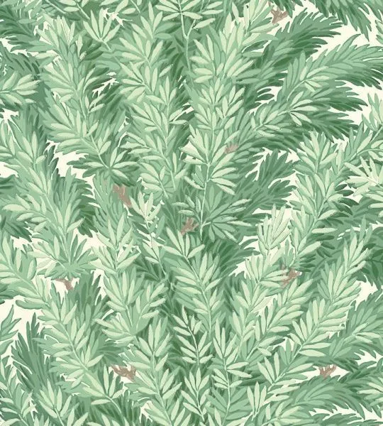 Обои Cole & Son 264335