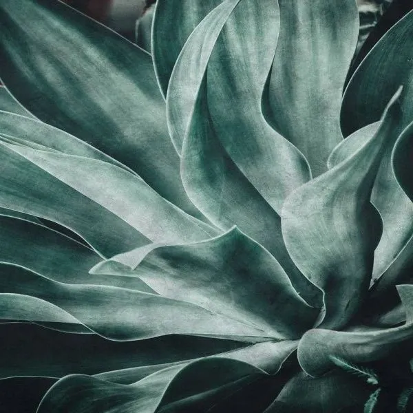 Обои Rasch Brick Lane 425796