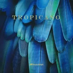 Коллекция Tropicano