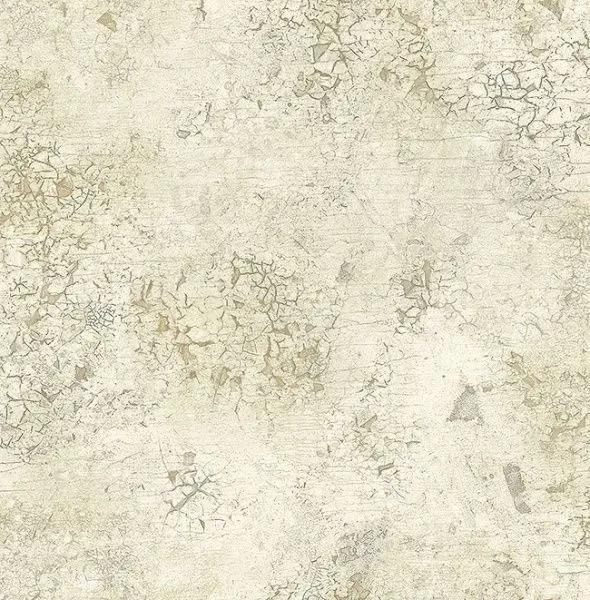DS61908