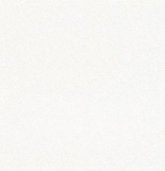 Обои Rasch 609939