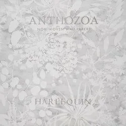 Коллекция Anthozoa